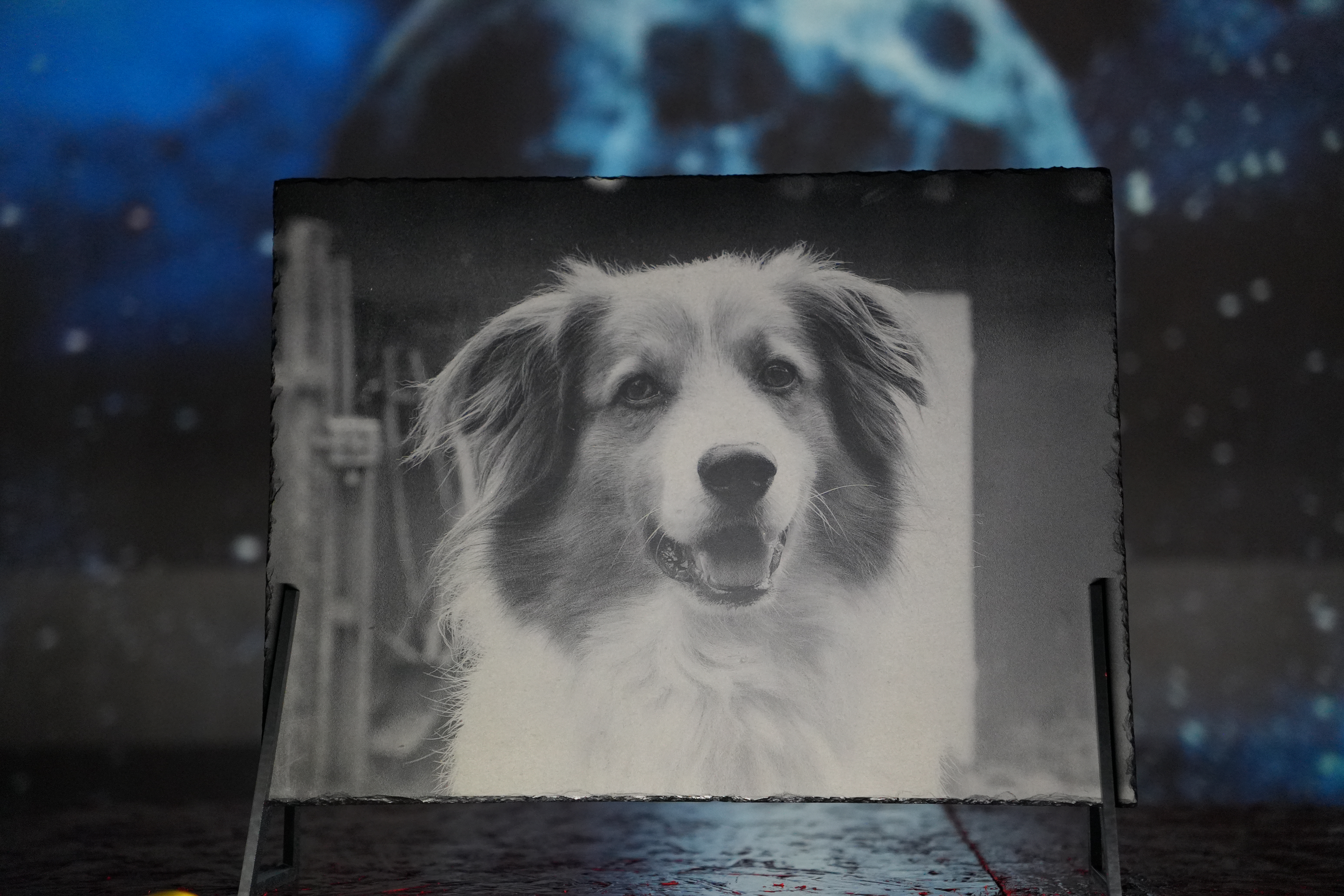 hund