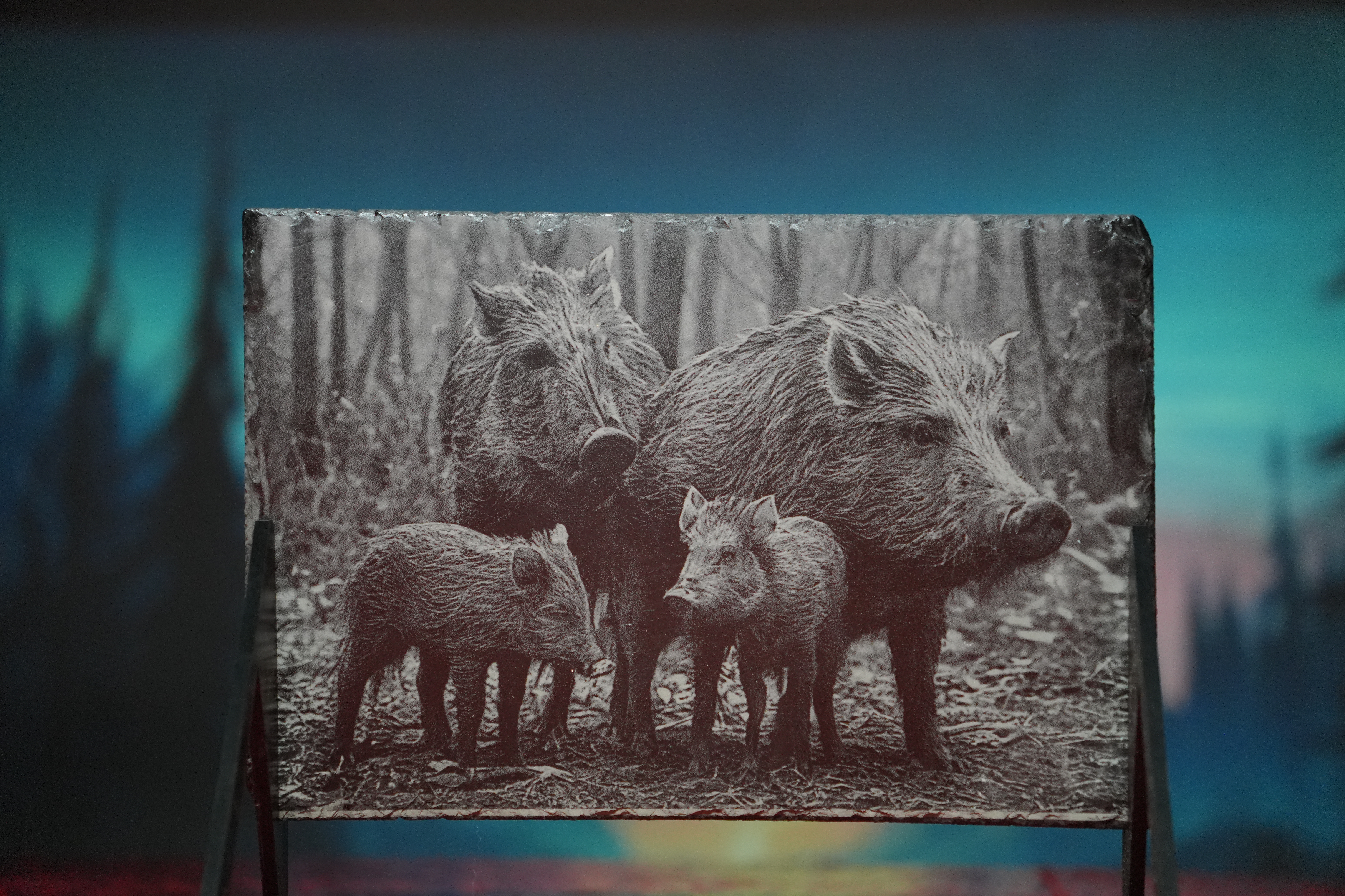 tiere